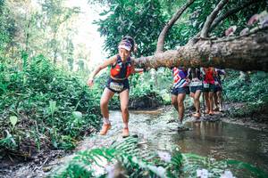 BIB: 
                            <button type="button" onclick="openModal(25444990)" class="btn btn-primary btn-sm float-right btn-popup" data-toggle="modal" data-target=".modal-high-quality">
                        <i class="fas fa-shopping-cart"></i> Add to Cart
                    </button>
                                            <button type="button" onclick="isThisMe(25444990, true)" class="btn btn-success btn-sm float-right btn-popup btn-isme hidden" data-toggle="tooltip" data-placement="bottom" title="นี่คือรูปของคุณใช่ไหม คลิกที่นี่เพื่อเอาเข้าอัลบั้ม">
                        <i class="fas fa-plus"></i> Add to album
                    </button>
                    <button type="button" onclick="isThisMe(25444990, false)" class="btn btn-warning btn-sm float-right btn-popup btn-isnotme hidden">
                        <i class="fas fa-ban"></i> Remove from album
                    </button>